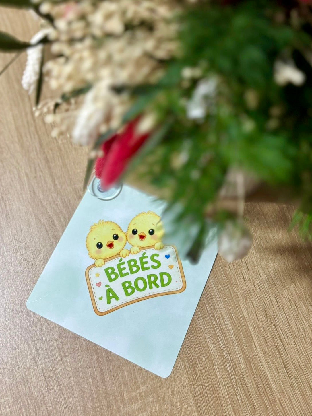 Plaque voiture "Bébés poussins à bord"