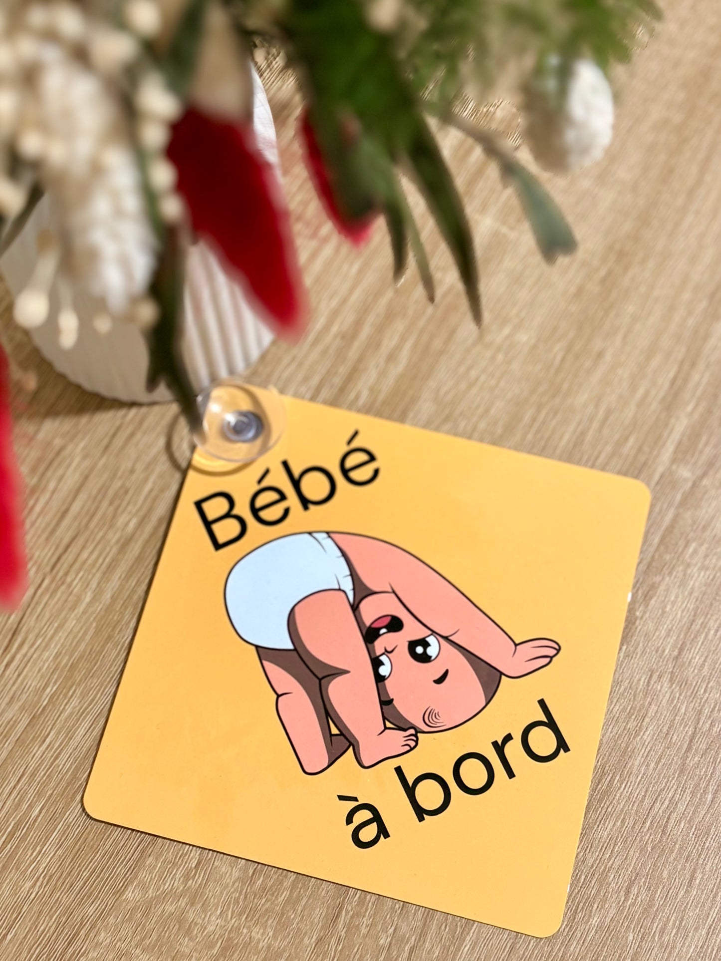 Plaque voiture "Petit cascadeur"